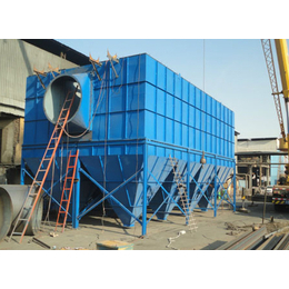 芮林環保(圖)_脈沖布袋除塵器多少錢